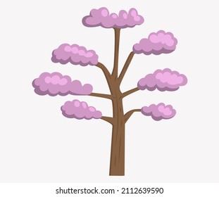 Full bloom pink sakura tree, vintage Cherry blossom brown wood isolated on white background, flower branch backdrop, flora bush banner. Pastel sweet spring floral icon, plant symbol of japan