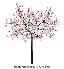 Full bloom pink sakura tree,  vintage Cherry blossom black wood isolated on white background, flower branch backdrop, flora bush banner. Pastel sweet spring floral wallpaper.