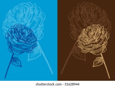 Full Bloom Rose Background Set : Floral background image.