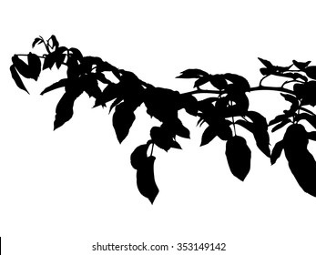 Full bloom spring rose flower silhouette vector, blossom flora foliage plant shadow outline drawing, floral leaves black tree shape icon isolated on white, nature vintage shade stalk figure.