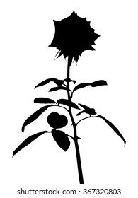 Full bloom spring rose flower silhouette vector, blossom flora foliage plant shadow outline drawing, floral leaves black tree shape icon isolated on white, nature vintage shade stalk figure.