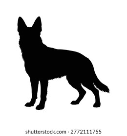 Full Body Alert Standing German Shepherd Silhouette, Centered Large Subject on Square Canvas, Sharp Pricked Ears with Rigid Level Back Posture.