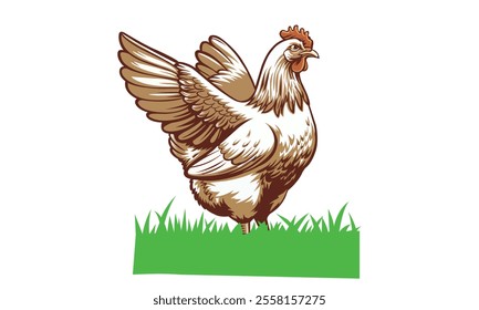 full body of brown chicken ,hen standing isolated white background 