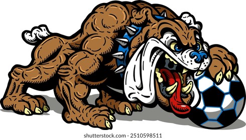 full body bulldog mascot holding soccer ball for school, college or league sports