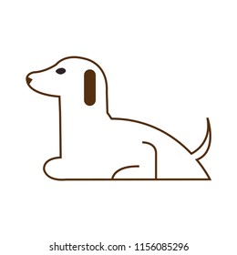 Full body dog lying