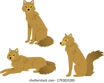 Full body illustration set of three brown wolves (sitting, lying down)