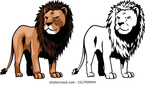full body of lion's male, side view
