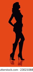 Full body silhouette woman. tricoolor poster