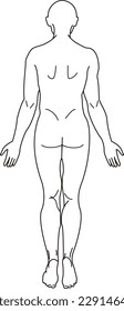 Full body standing back view of human body drawn with monochrome line drawing