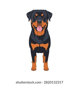 Full Body Vector Illustration of a Happy Rottweiler Dog Standing and Isolated on White Background