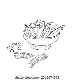 Full bowl of fresh green pea pods. Vector graphic illustration.