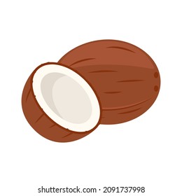 Full coconut and open half nut coco. Delicious and healthy fat food. Vector illustration