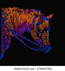 
full color abstract illustration of a horse's head. suitable to be used as clothes, jackets, covers, banners and others