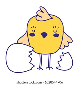 full color chick farm bird animal broking egg