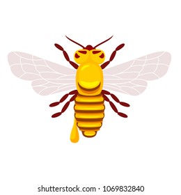 Full color illustration bee, hive, apiary, honey jar and dipper logos for honey products, labels, bee farms and apiaries. Flat style vector illustrations isolated on white background.