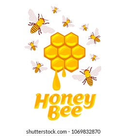 Full color illustration bee, hive, apiary, honey jar and dipper logos for honey products, labels, bee farms and apiaries. Flat style vector illustrations isolated on white background.