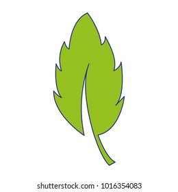 full color leaf plant nature flora design
