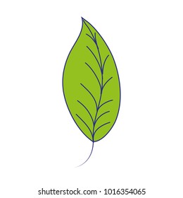 full color natural leaf plant botany design