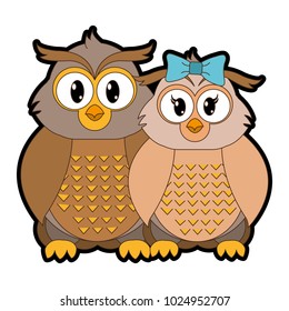 full color owl couple cute animal together