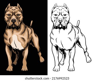 full colors and line art pitbull vector illustration in separated layer svg