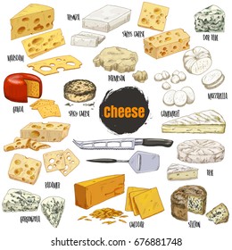 Full colour realistic sketch illustration of different types of cheese, vector collection for restaurant menu design.