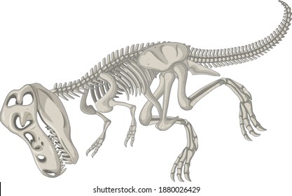 Full dinosaur skeletons on white background illustration