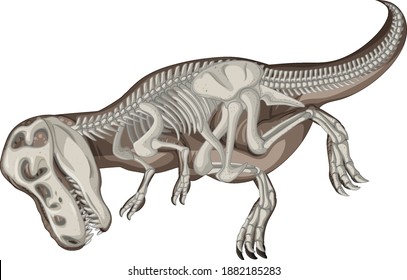 Full dinosaur skeletons on white background illustration