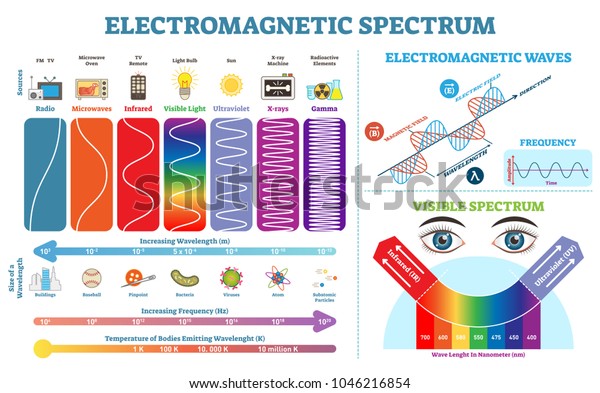 Full Electromagnetic Spectrum Information\
collection, vector illustration diagram with wave lengths,\
frequency and temperature. Wave structure scheme. Educational\
physics infographic\
elements.