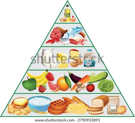 Full food pyramid chart vector illustration. Healthy eating info-graphic showing balanced diet groups from carbohydrates to fats and sweets.