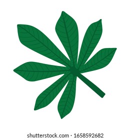 Full fresh leaf of fatsia japonica palm tree, flat vector illustration isolated on white background. Cartoon cute hand drawing of fatsia japonica palm tree leaf, jungle forest design element