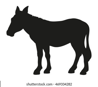 Full grey ass isolated on white background. Side view with space for text