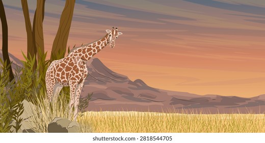 A full grown giraffe standing on a dry grassy plain in the African savanna, turning its head to look back, with scenic mountains and trees under an orange sunset sky, horizontal composition with copy space