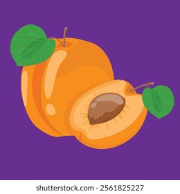 full and half apricot blossom flat design fresh fruit