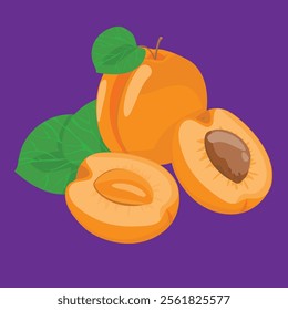 full and half apricot with no seed blossom flat design fresh fruit