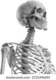 Ilustración completa de la anatomía del esqueleto humano en vista frontal aislada en blanco. El sistema esquelético detallado muestra la estructura ósea para uso médico y educativo. Ideal para diseños de referencia de ciencia, biología, atención médica y anatomía.