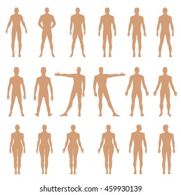 Full length front, back human silhouette vector illustration, isolated on white