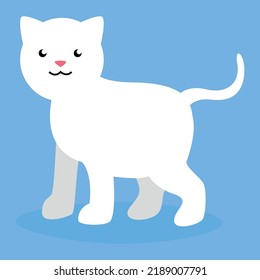 full length kitten on a blue background
