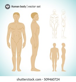 Full Length Naked White Male Body Silhouettes Set Isolated Vector Illustration