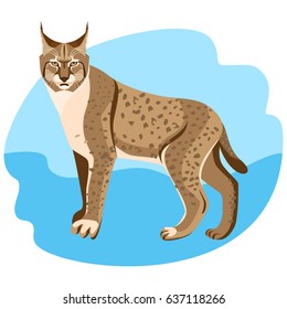 Full Length Spotted Bobcat Vector Illustration Isolated On Blue Background.