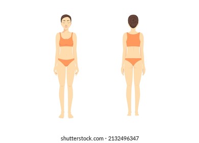 full length of woman standing in front and back wearing a bikini and bra on isolated. cartoon about the body, diet, anatomy, beauty, and medical. svg