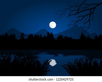 full moon in the jungle