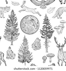 tree tattoos hare