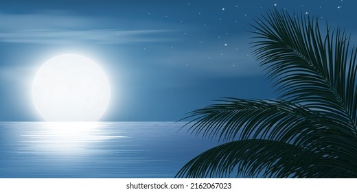 full moon night at sky and stars on calm lake, lagoon and coconut tree background, vector illustration