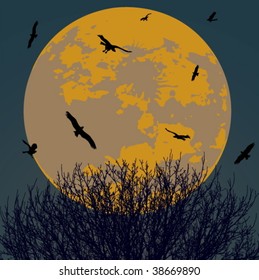 Vollmond auf Heilbutt