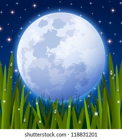 Full moon and starry night sky with grass meadow in the foreground