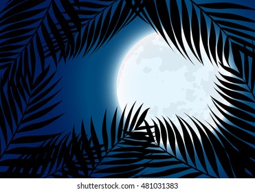 full moon at tropical night.