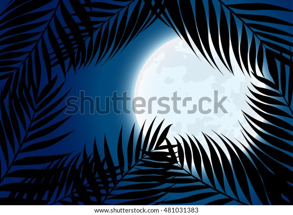 full moon at tropical\
night.