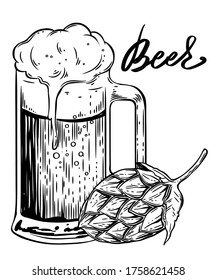 Full mug of beer and hop cone, hand drawn vector, engraving style