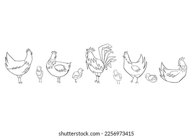 The full pack of sketch easter chickens and chicks.