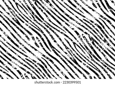 Full Seamless Zebra Tiger Worn Pattern Textile Texture. Distressed Vector Background. Black and White Animal Skin for Women Dress Fabric Print.